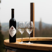 Bouteille de vin rouge avec deux verres à vin sur le bord du bain de vin avec vue sur les collines.